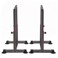 HMS Parallettes - Set van 2 - Zwart