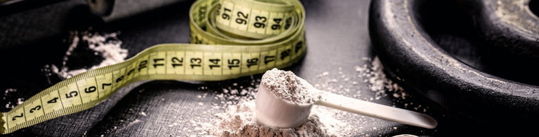 Alles wat je moet weten over creatine | Blog | Fitwinkel