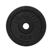 Gietijzer halterschijven 30 mm