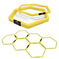 Toorx Fitness Opvouwbare Hex Loopladder