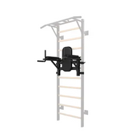 Toorx Professional Dip Station voor LDX-3000 Wallbar