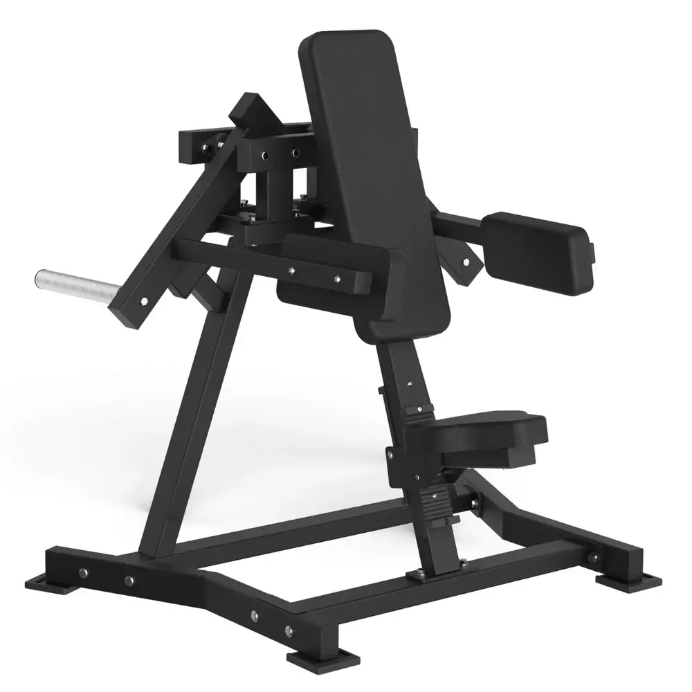 Toorx Professional Avant Lateral Raise FWX-6500