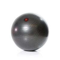 Gymstick Burst Resistant Gymbal - Fitnessbal - Met Online Trainingsvideo's - 75 cm