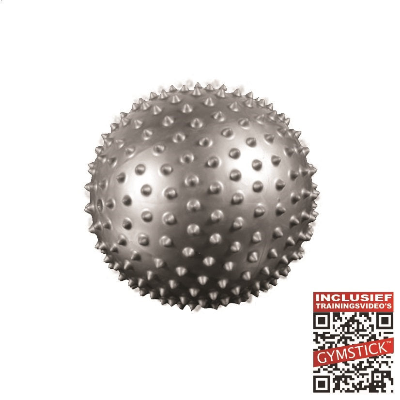 Gymstick Pilates Bal - 20 cm - Grijs