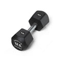 Centr x Hyrox Urethane Hexagon Dumbbell - 12,5 kg
