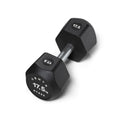 Centr x Hyrox Urethane Hexagon Dumbbell - 17,5 kg