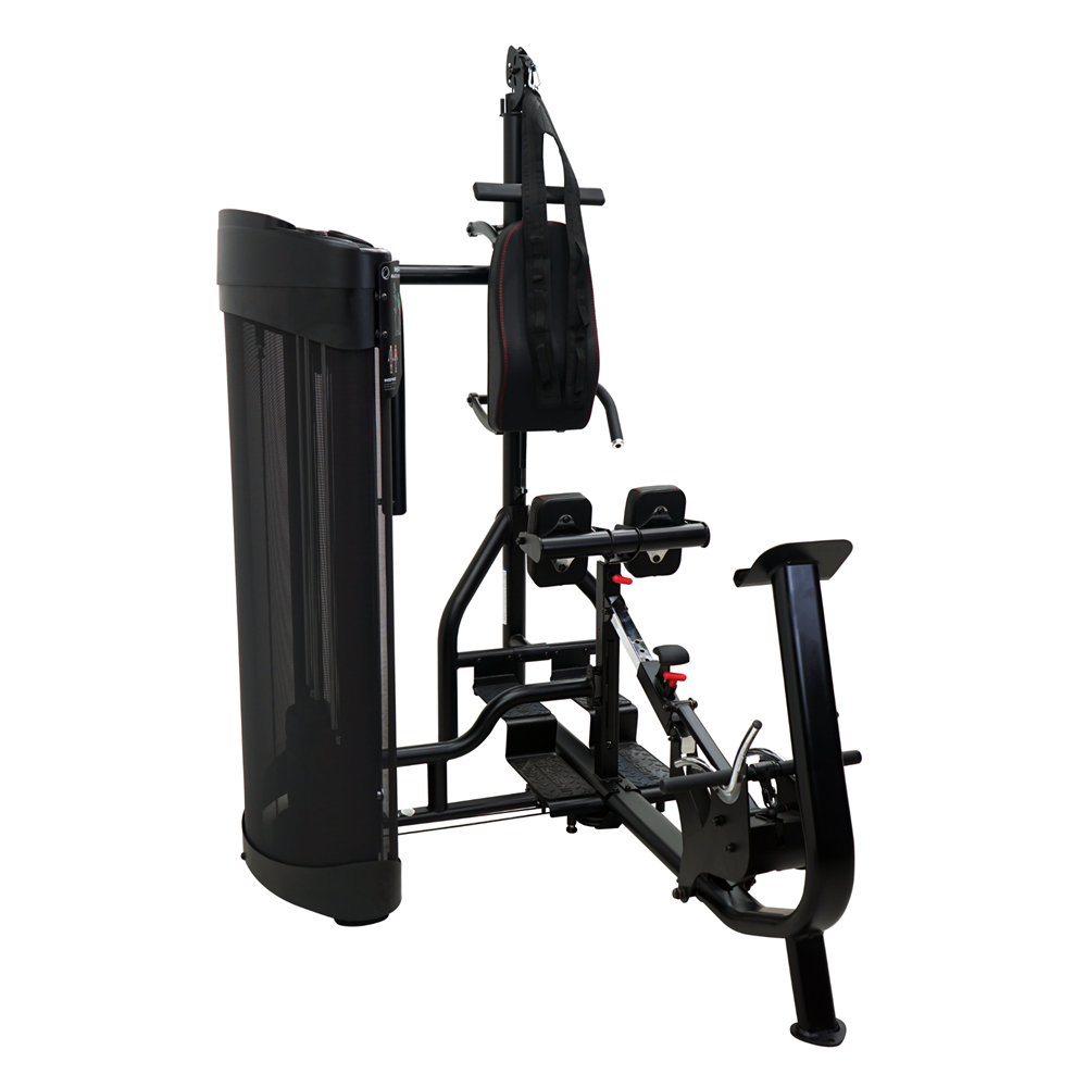 Inspire DUAL Krachtstation Buik + Rug