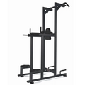 Toorx Professional WBX-B2800 Chin Ups, Dips & Leg Raise