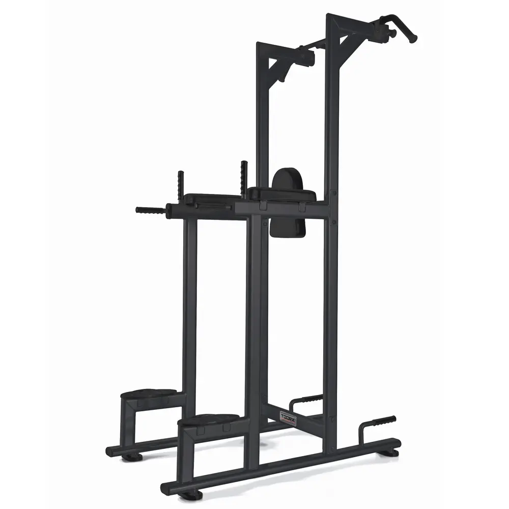 Toorx Professional WBX-B2800 Chin Ups, Dips & Leg Raise