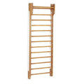 Toorx Single Wallbar - Wandrek