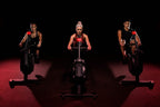 Life Fitness Heat Row Roeitrainer - met LCD console