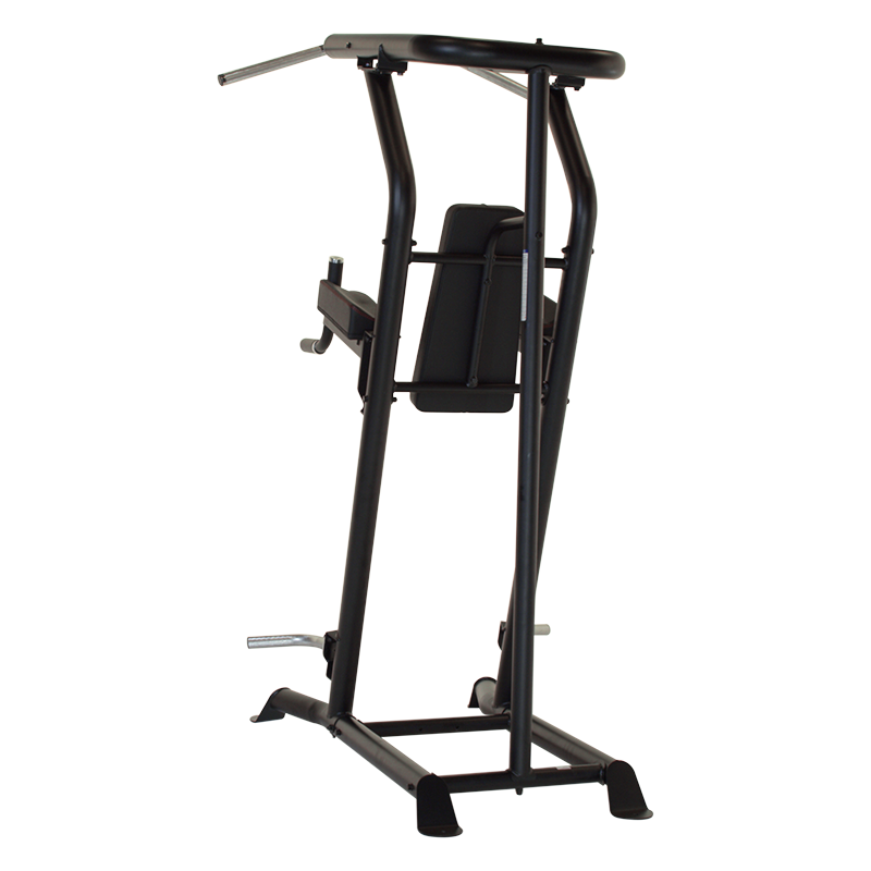Inspire VKR Vertical Knee Raise - Power Tower