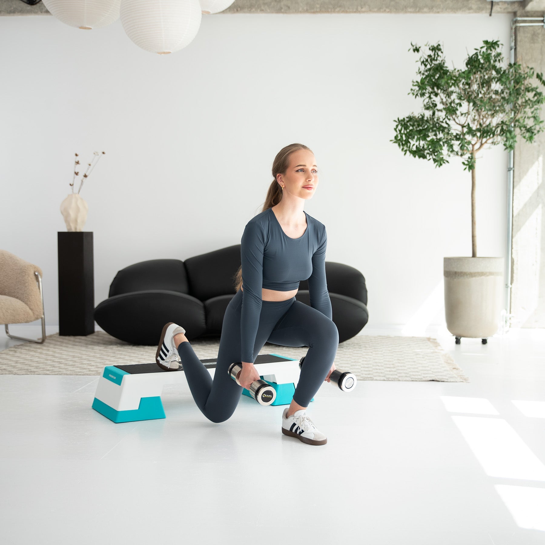 HMS Fitness Premium Aerobic Step - Wit/Blauw