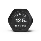 Centr x Hyrox Urethane Hexagon Dumbbell - 12,5 kg