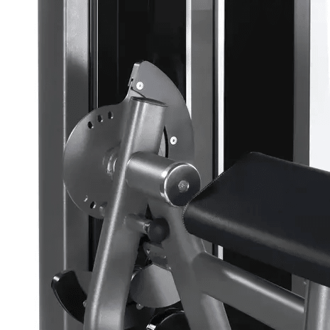 Toorx Professional Biceps Curl / Triceps Curl PLX-7700