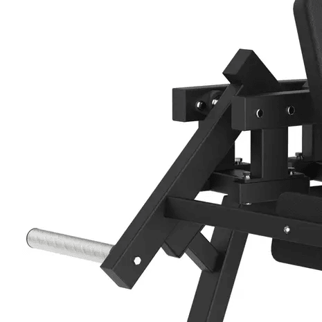 Toorx Professional Avant Lateral Raise FWX-6500