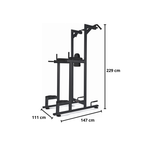Toorx Professional WBX-B2800 Chin Ups, Dips & Leg Raise