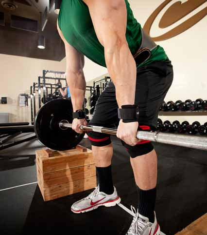 Harbinger Pro Padded Lifting Straps - met Stalen Gesp