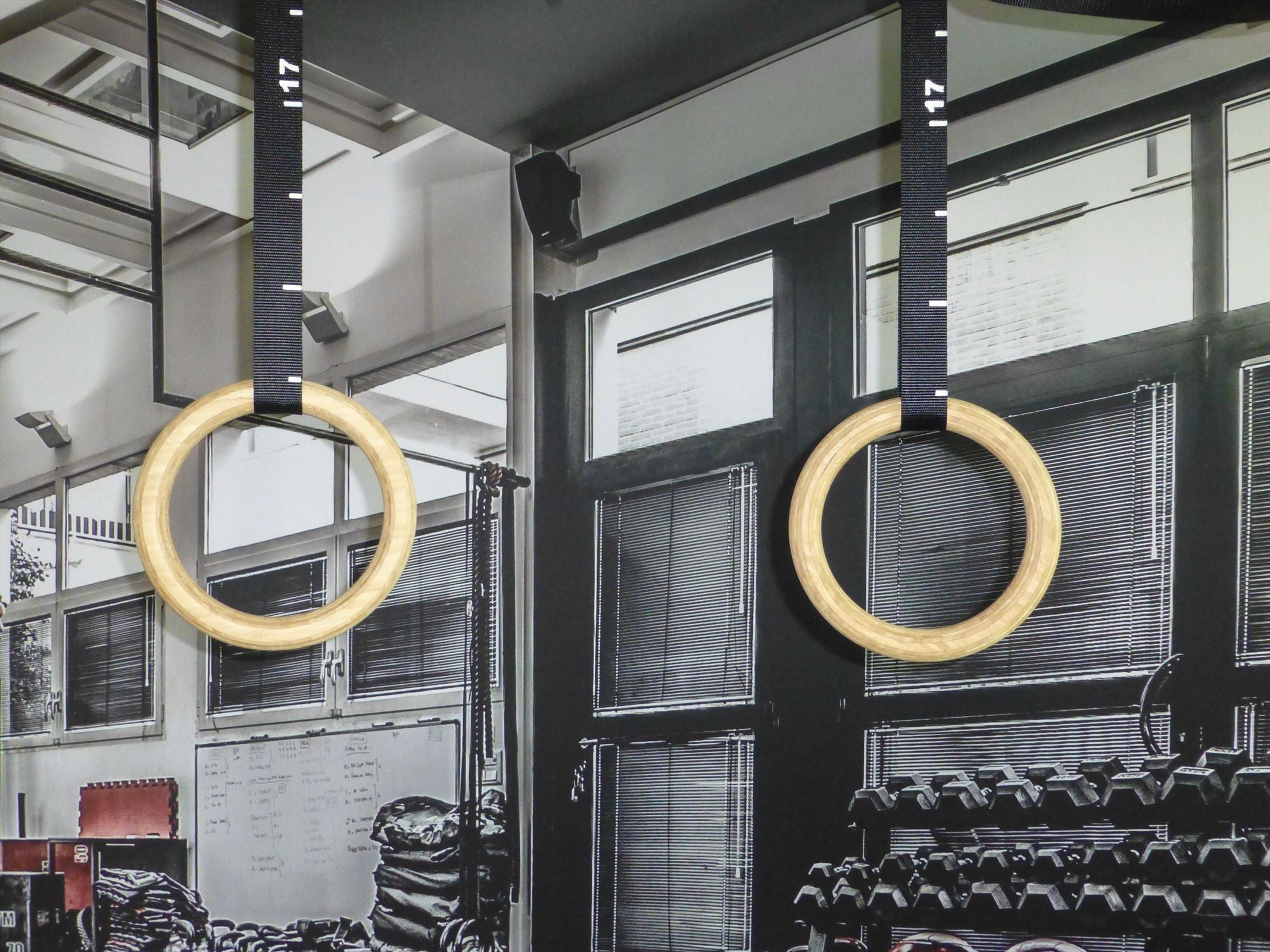 Muscle Power Houten Crossfit Ringen Set