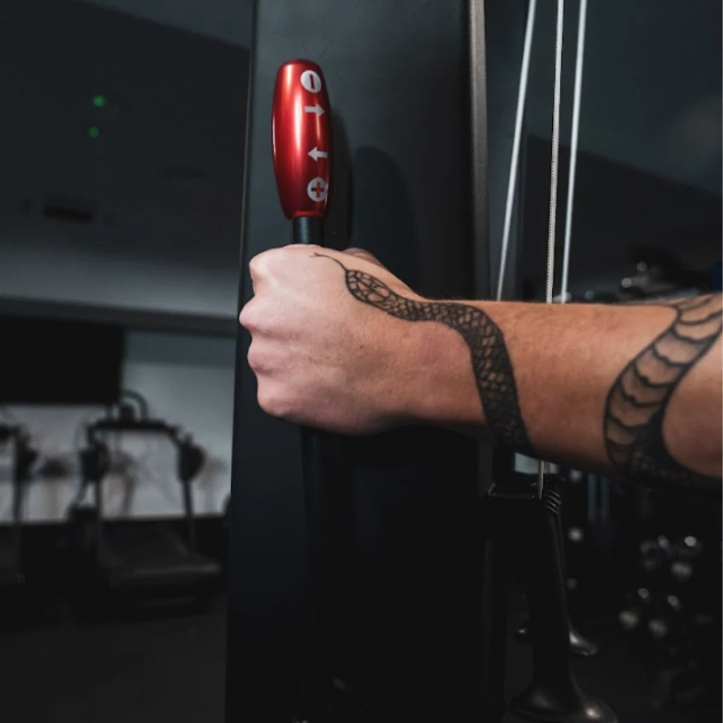 STEPR Ski Trainer SKI XL