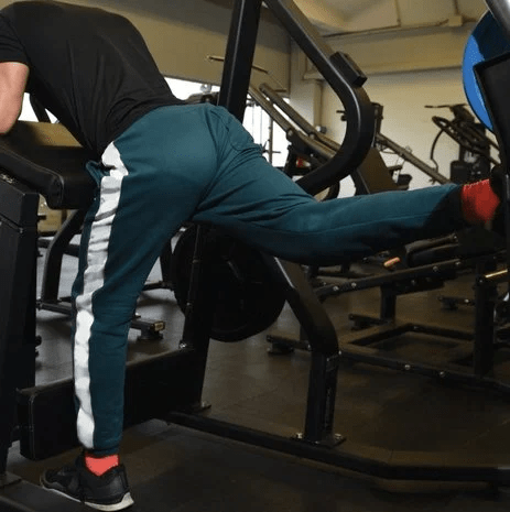 Toorx Professional FWX-4600 Aktiv Gluteus Machine
