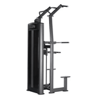 Toorx Professional Assisted Pull Up / Chin Up / Dip PLX-6350
