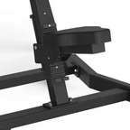 Toorx Professional Avant Lateral Raise FWX-6500
