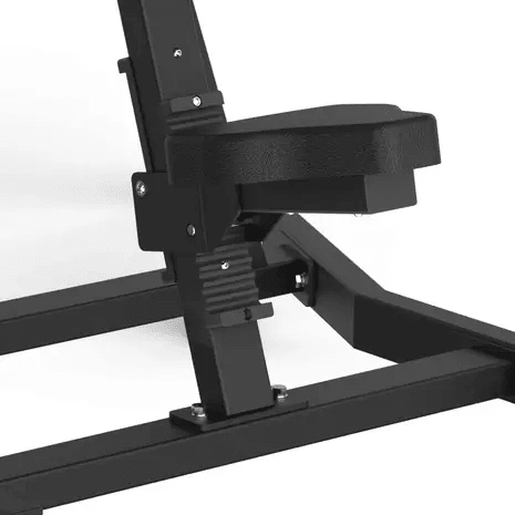 Toorx Professional Avant Lateral Raise FWX-6500