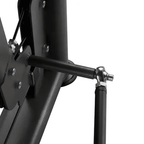 Toorx Professional Unilateral Chest Press PLX-6000