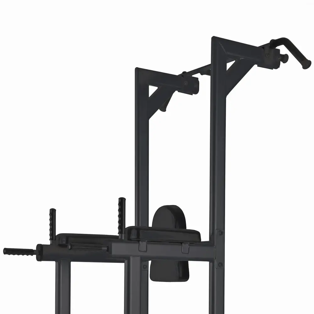 Toorx Professional WBX-B2800 Chin Ups, Dips & Leg Raise