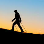 Toorx Fitness Nordic Walking Stokken
