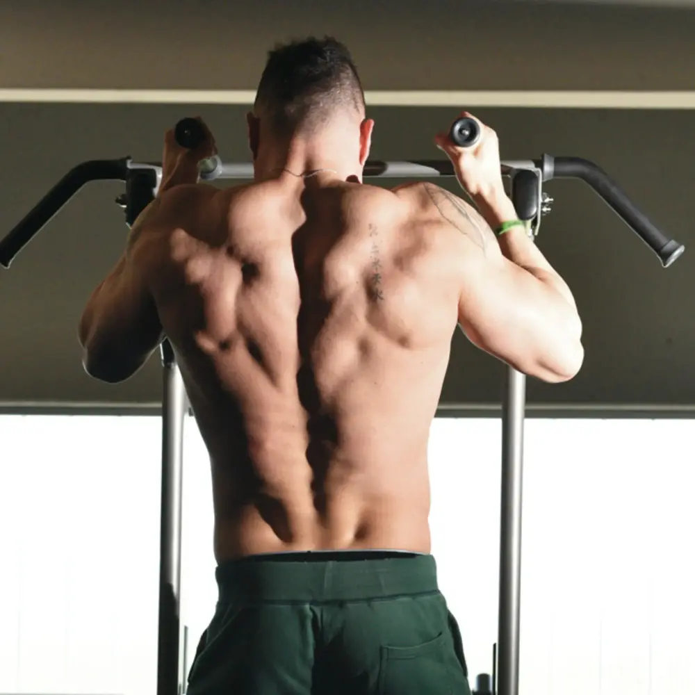 Toorx Professional WBX-B2800 Chin Ups, Dips & Leg Raise