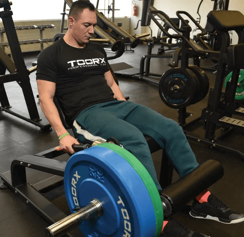Toorx Professional Aktiv Leg Extension FWX-4800