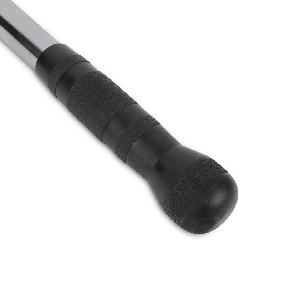 VirtuFit Bicep / Tricep Stang - Straight Bar