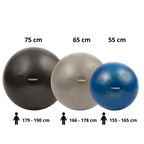 Toorx Fitnessbal Gymbal PRO Grijs - 65 cm
