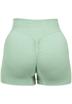 Gorilla Wear Whitney Seamless Shorts - Groen
