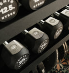 Centr x Hyrox Urethane Hexagon Dumbbell - 17,5 kg