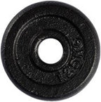 VirtuFit Curlstang Gietijzer 60 kg