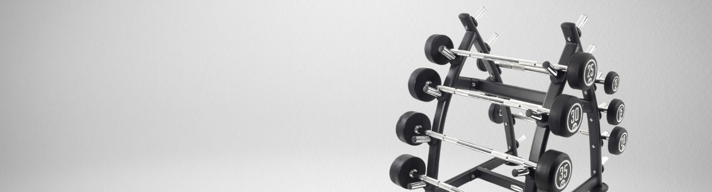 Muscle Power